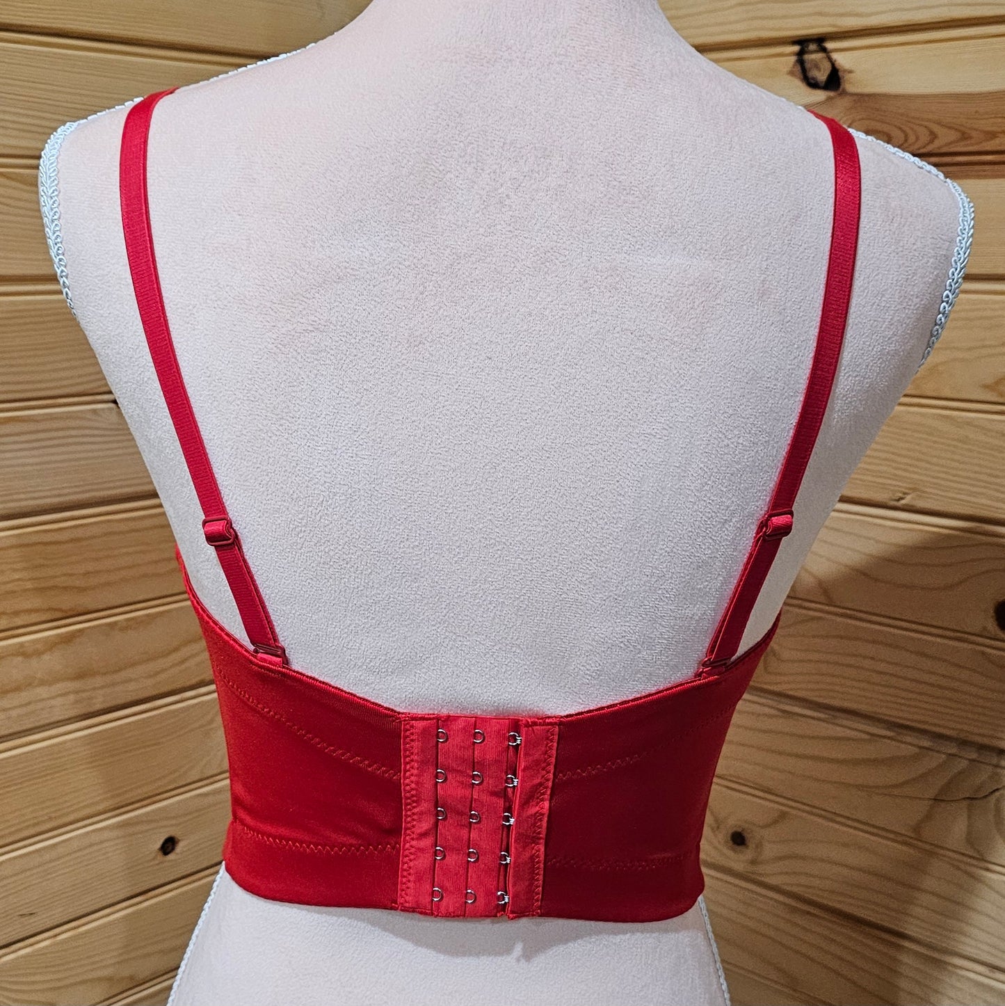 Ruby Red Corset