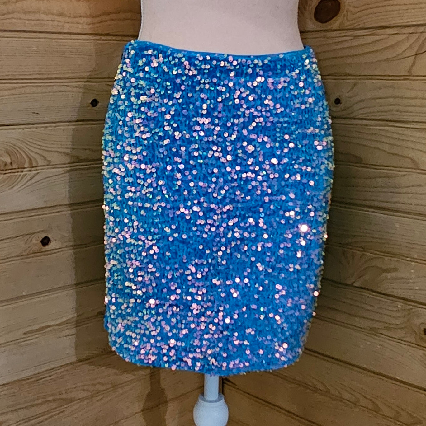 Bluberry Ice Skirt